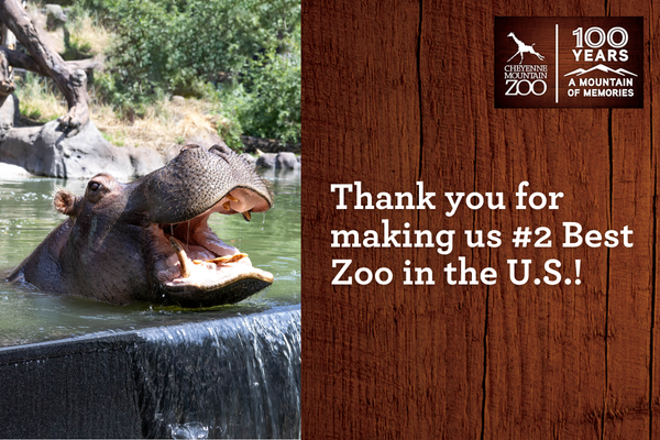 Thank you for making us #2 Best Zoo in the US in 2026