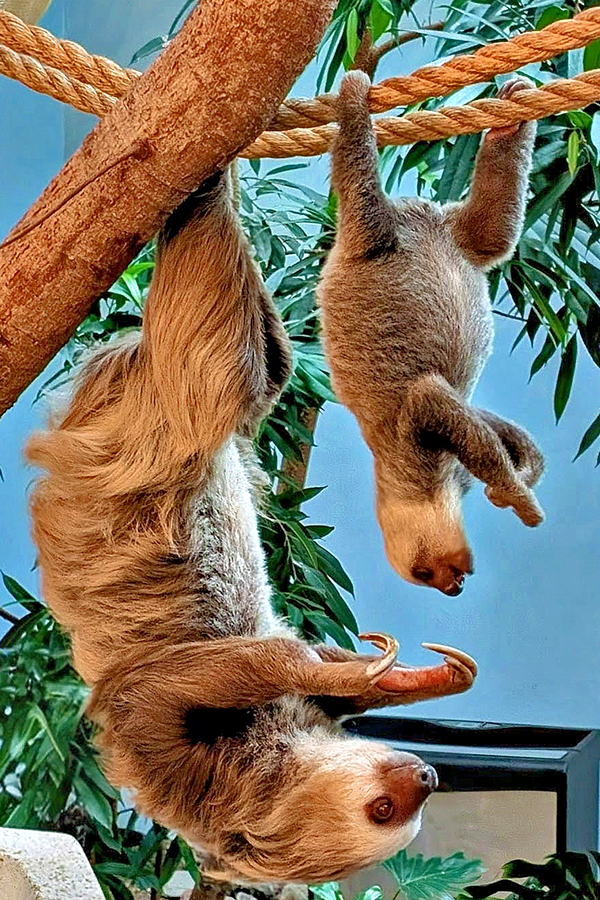 People's Choice Winner, summer 2025 photo contest