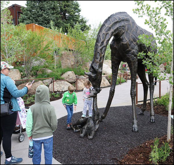 New Admissions, The 200 Project, Longneck Cafe & Gift Shop! - CMZoo