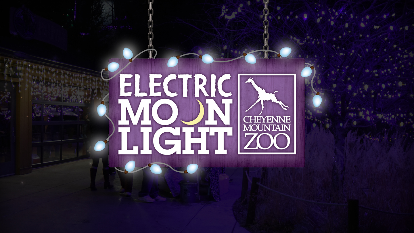 Electric Moonlight December 11, tickets are on sale now!
