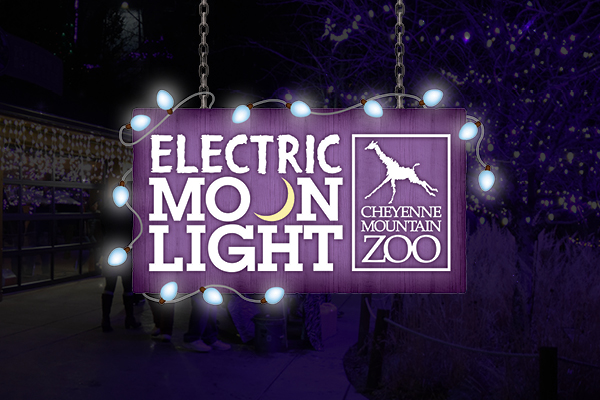 Electric Moonlight December 11, tickets are on sale now!