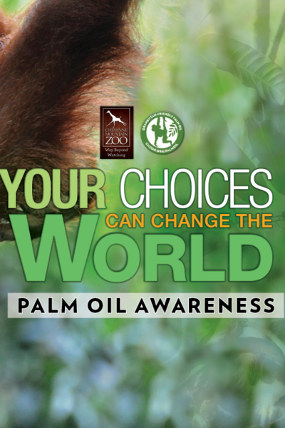 Conservation news on Palm Oil