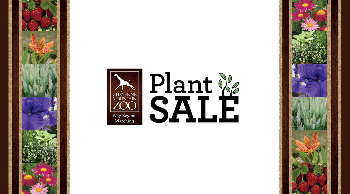 Shop the Annual Plant Sale Online Only this year, April 13-May 3, 2020
