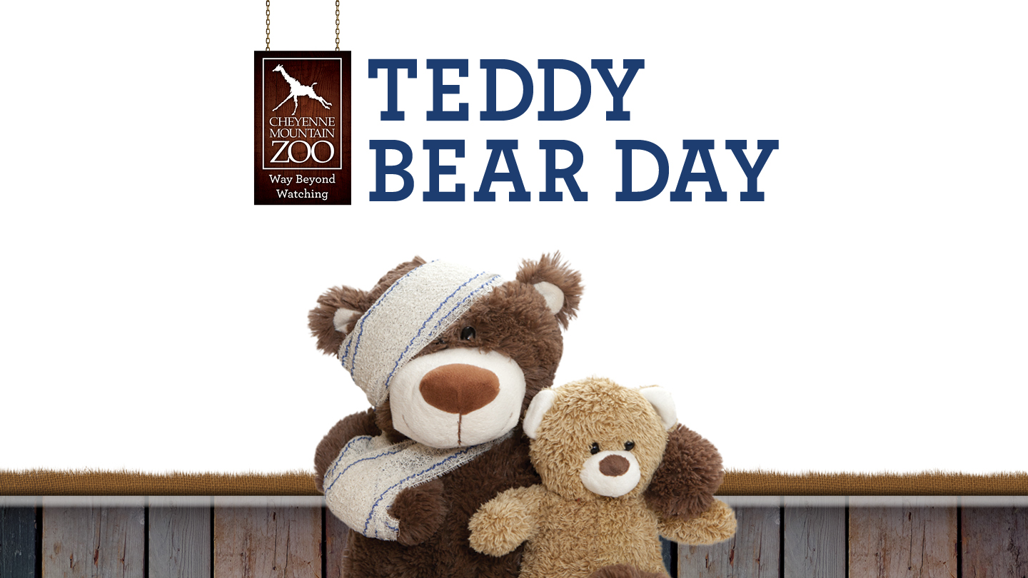 Teddy Bear Day graphic hero image