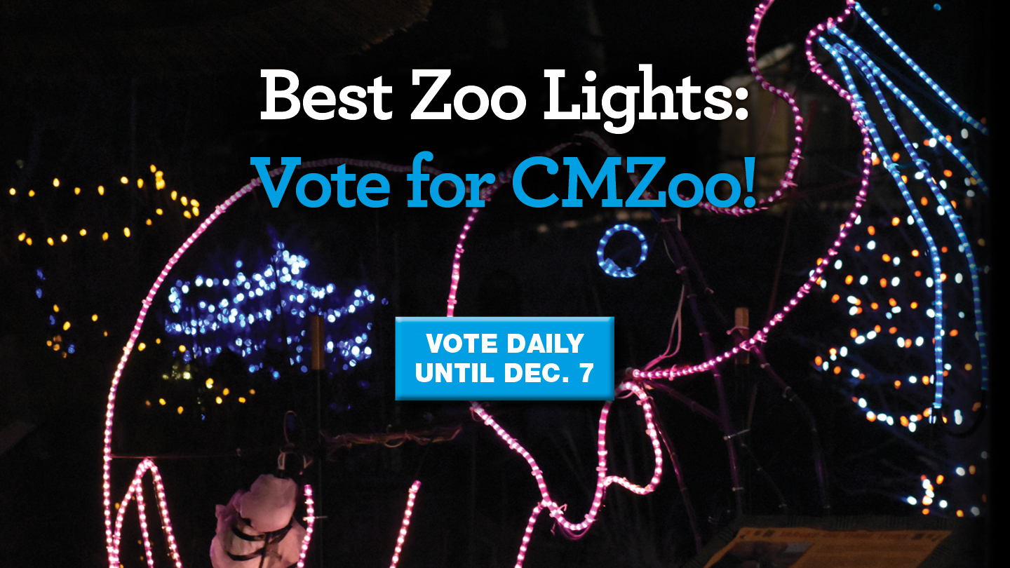 Past Events › Events › CMZoo