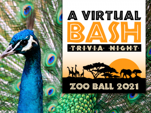 Zoo Ball 2021 - A Virtual Bash: Trivia Night!