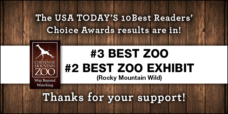 CMZoo voted #3 BEST ZOO and #2 BEST ZOO EXHIBIT in North America by USAToday's Readers' Choice Awards