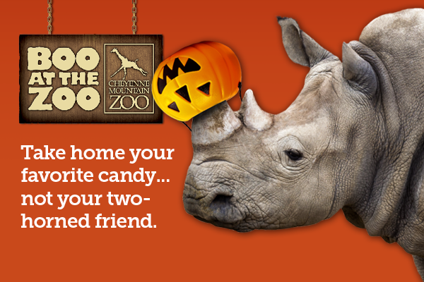 Boo at the Zoo 2022 October nights 21-23, 28-31 ad graphic