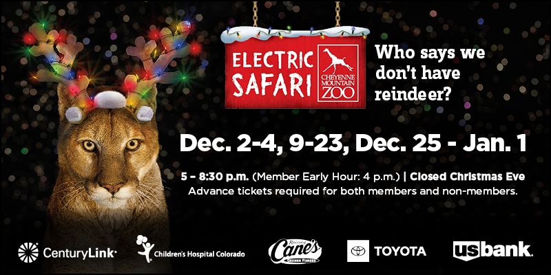 Electric Safari - tickets will be on sale starting Nov. 7