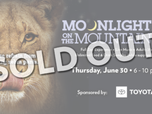 Moonlight on the Mountain 2022 is SOLD OUT graphic
