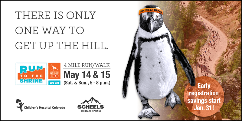 Run to the Shrine - Early bird registration opens 