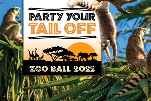 Zoo Ball 2022 graphic