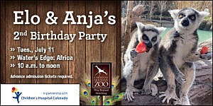 Lemur twins birthday party