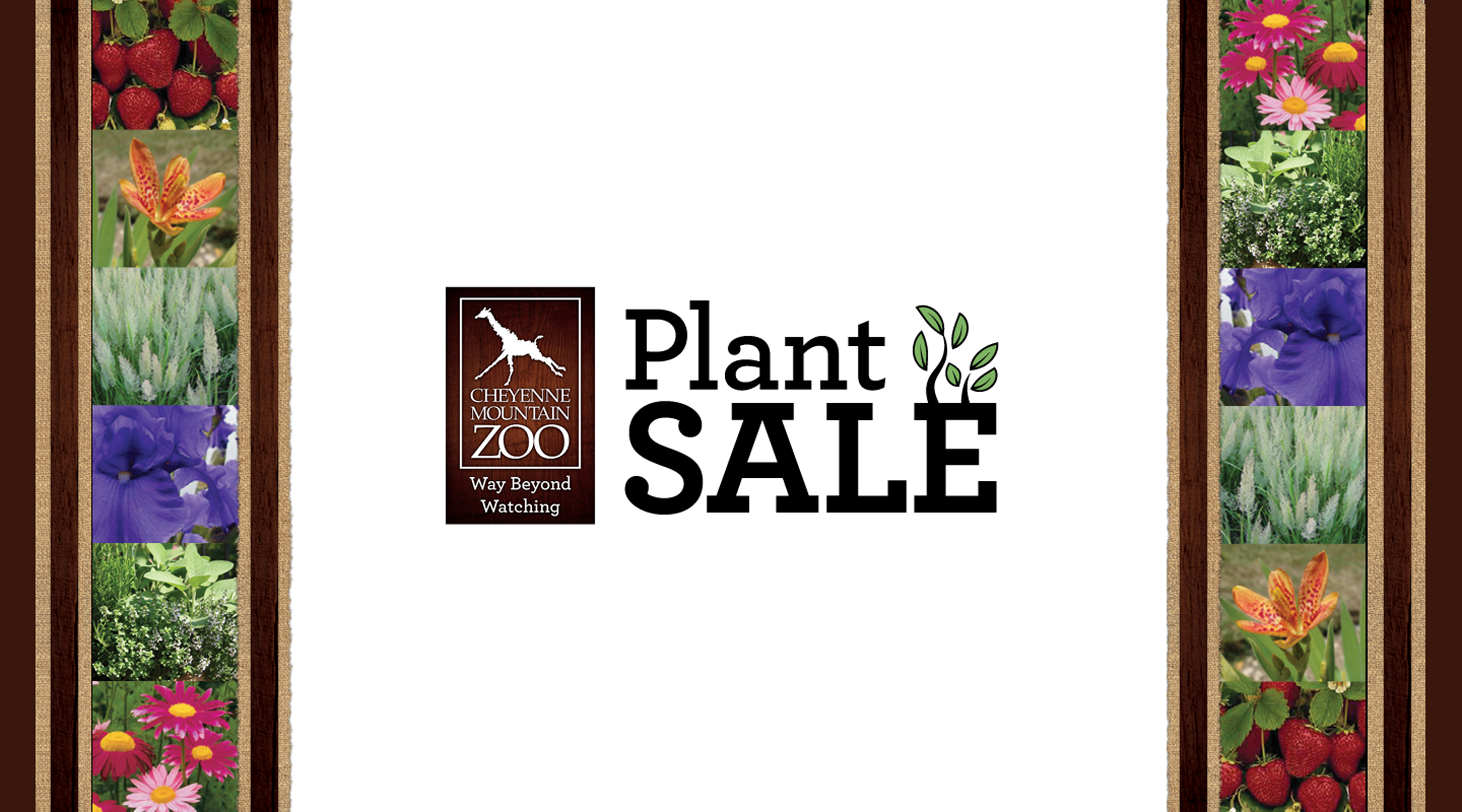 Annual Plant Sale - join us!