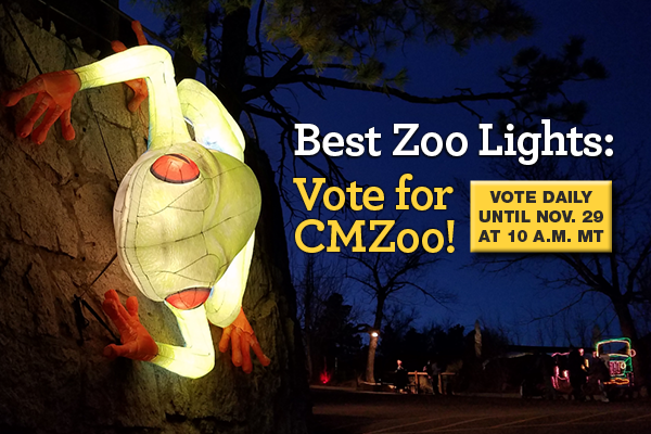 Vote for CMZoo for Best Zoo Lights 2023