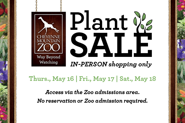 Annual Plant Sale May 16-17-18, 2024