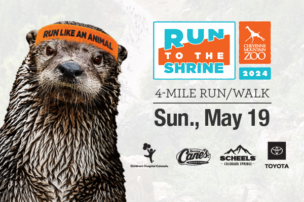 Run to the Shrine Sunday, May 19 tickets are still available