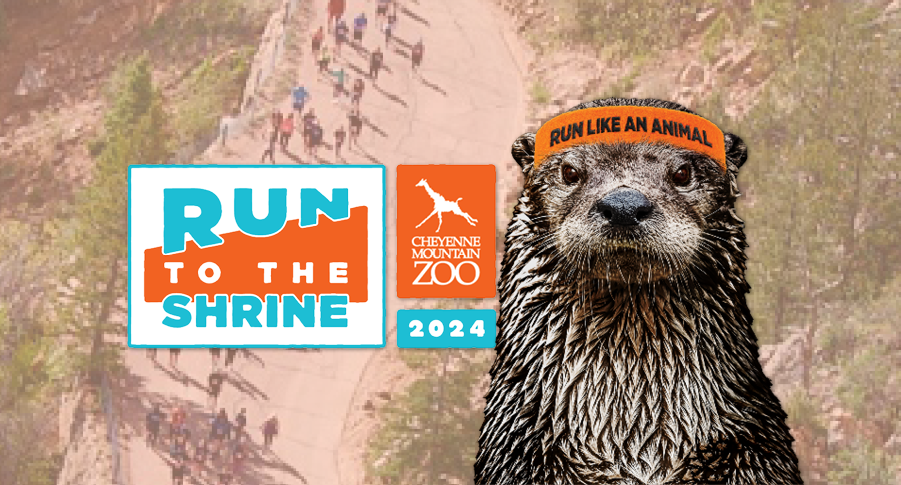 Join us for Run to the Shrine, May 18 & 19, 2024