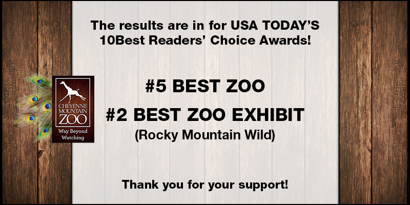 CMZoo #5 BEST ZOO & #2 BEST ZOO EXHIBIT in USAToday's 10Best