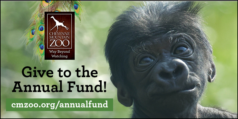 Give to the Annual Fund