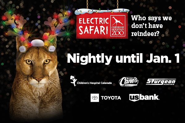 Electric Safari at CMZoo, Evening holiday lights Dec. 5 - Jan. 1, 2026. Join us!