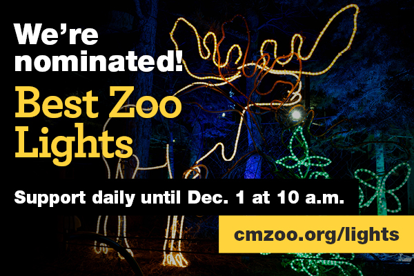Vote for CMZoo for Best Zoo Lights 2025!