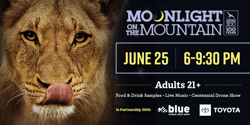 Moonlight on the Mountain