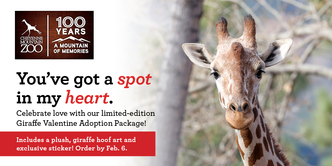 Valentine's Day Adopt Gift Package