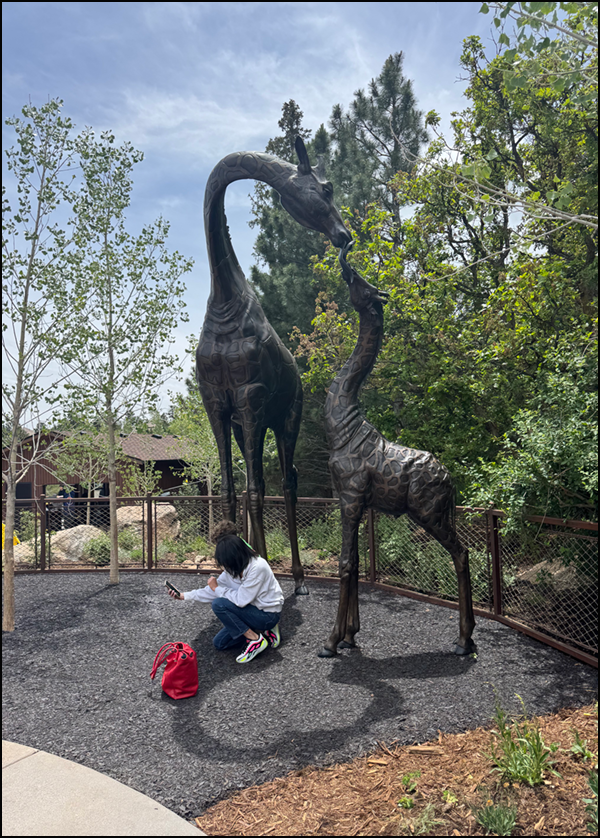 New Admissions, The 200 Project, Longneck Cafe & Gift Shop! - CMZoo