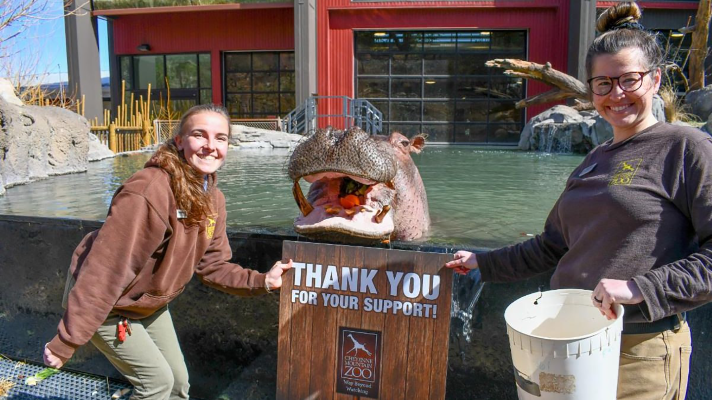 Cheyenne Mountain Zoo Voted 4 Best Zoo in North America by USA TODAY