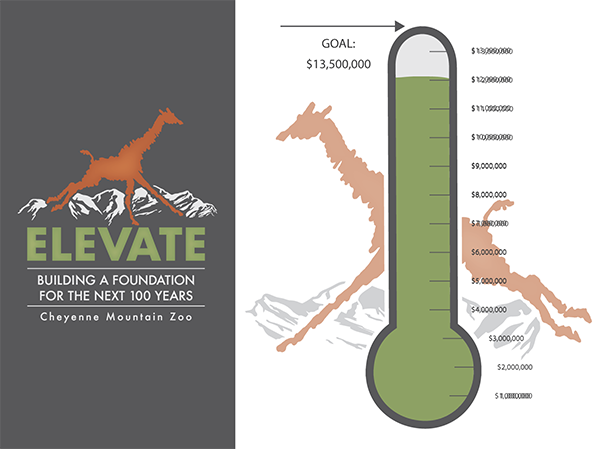 CAPITAL IMPROVEMENT CAMPAIGN