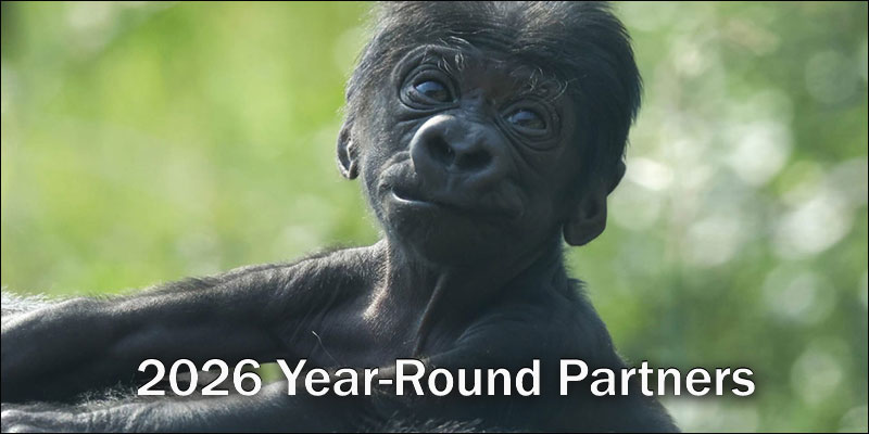 202 Year-Round Partners
