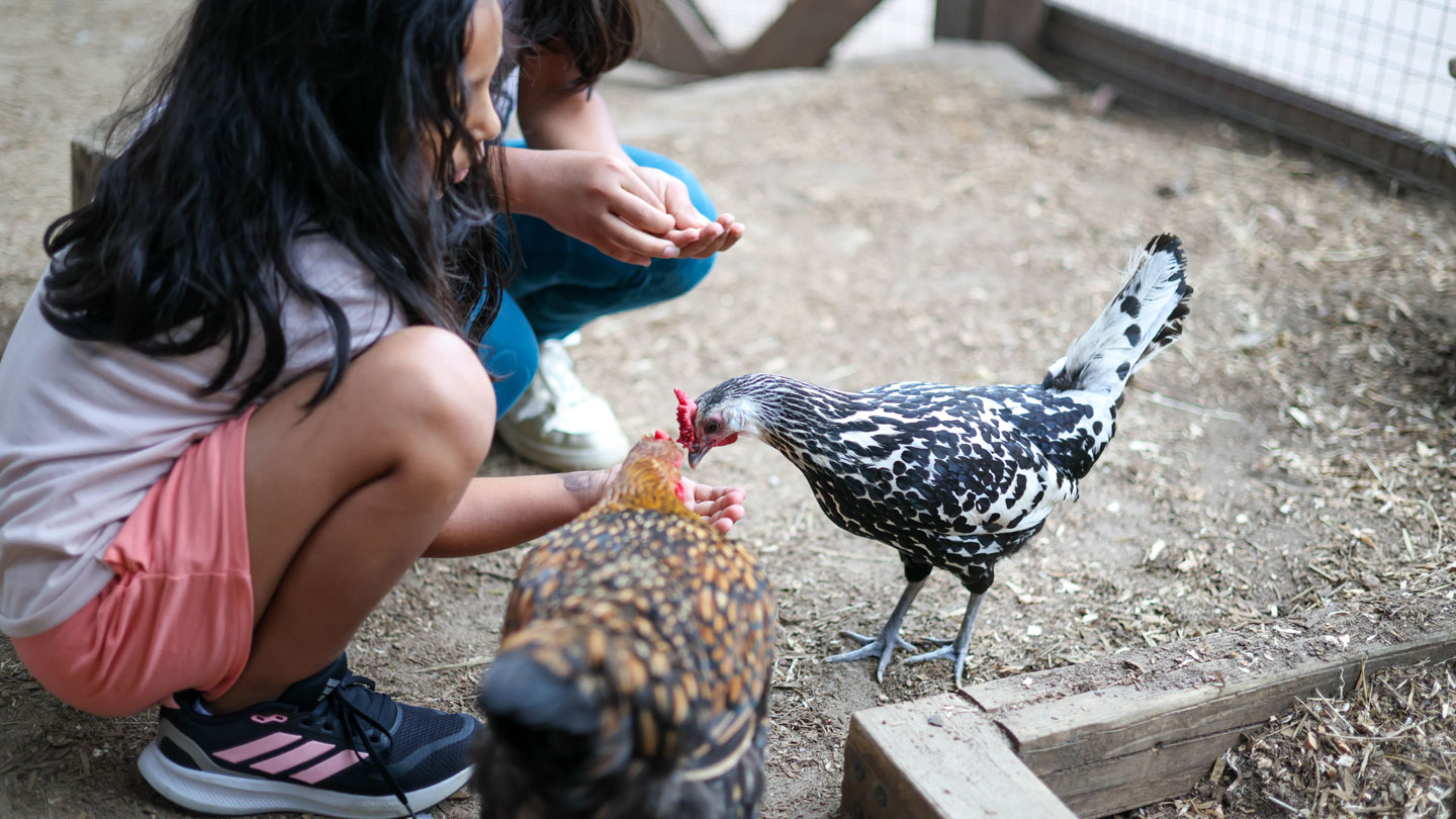 My Big Backyard - CMZoo