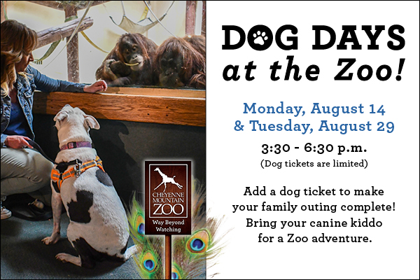 Dog Days at the Zoo August 14 & 29, 2023