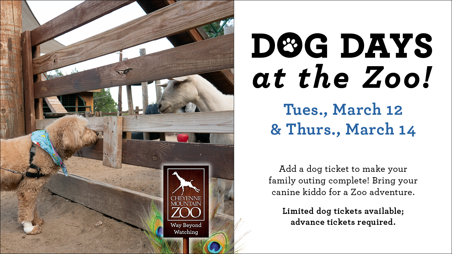 Dog Days at the Zoo, Tuesday March 12 & Thursday,