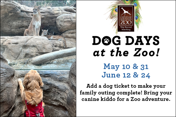 Dog Days at the Zoo graphic for May & June 2024