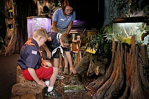 Evening tours for scouts, feeding a tortoise