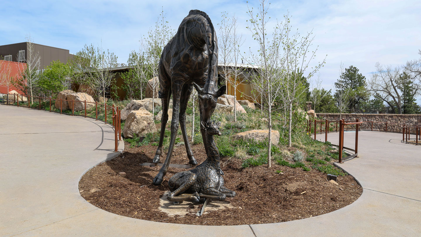 New Admissions, The 200 Project, Longneck Cafe & Gift Shop! - CMZoo