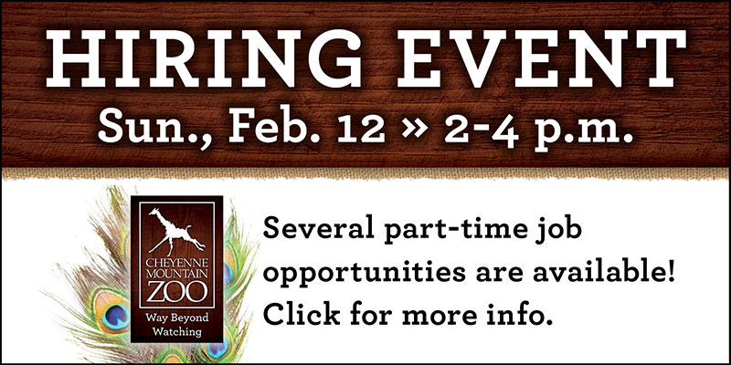 CMZoo hiring event 2023 banner