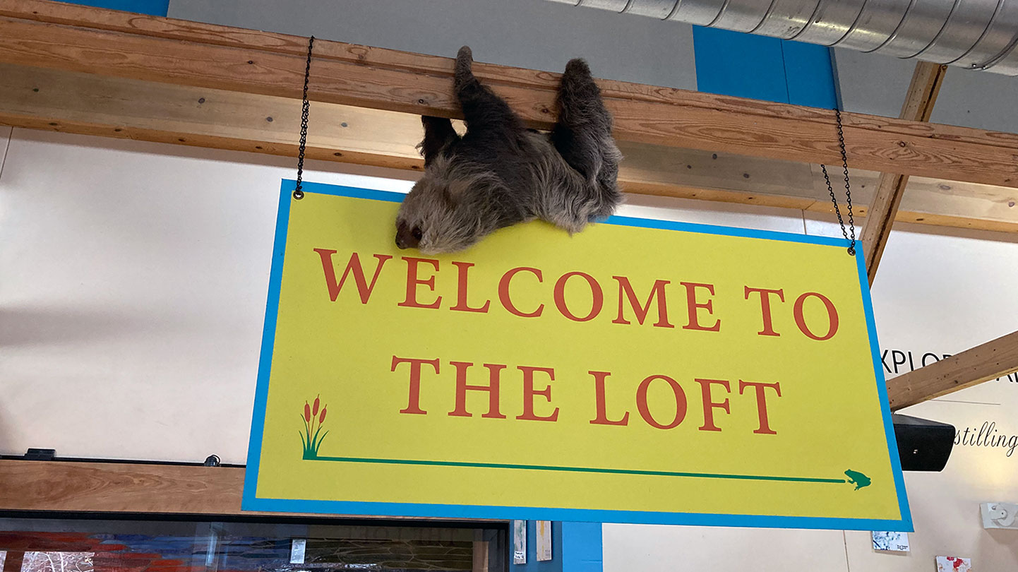 SlothBean transversing on rafters in The Loft