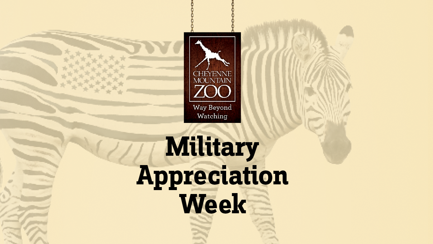 Military Appreciation Week graphic logo
