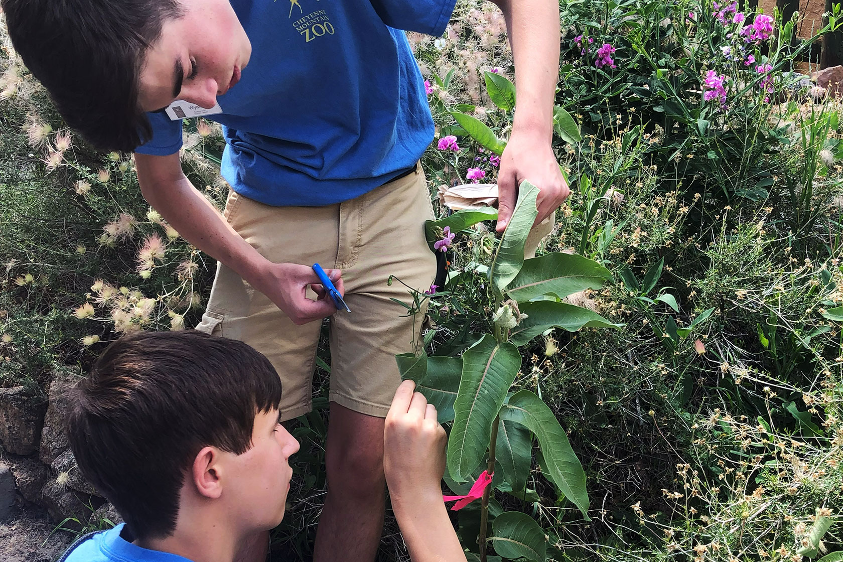 Kids cutting flowers at the Zoo during an Outdoor program