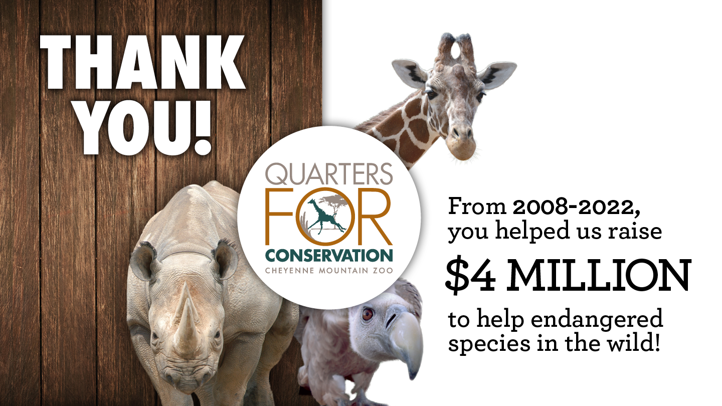 Cheyenne Mountain Zoo Surpasses 4 Million Quarters for Conservation