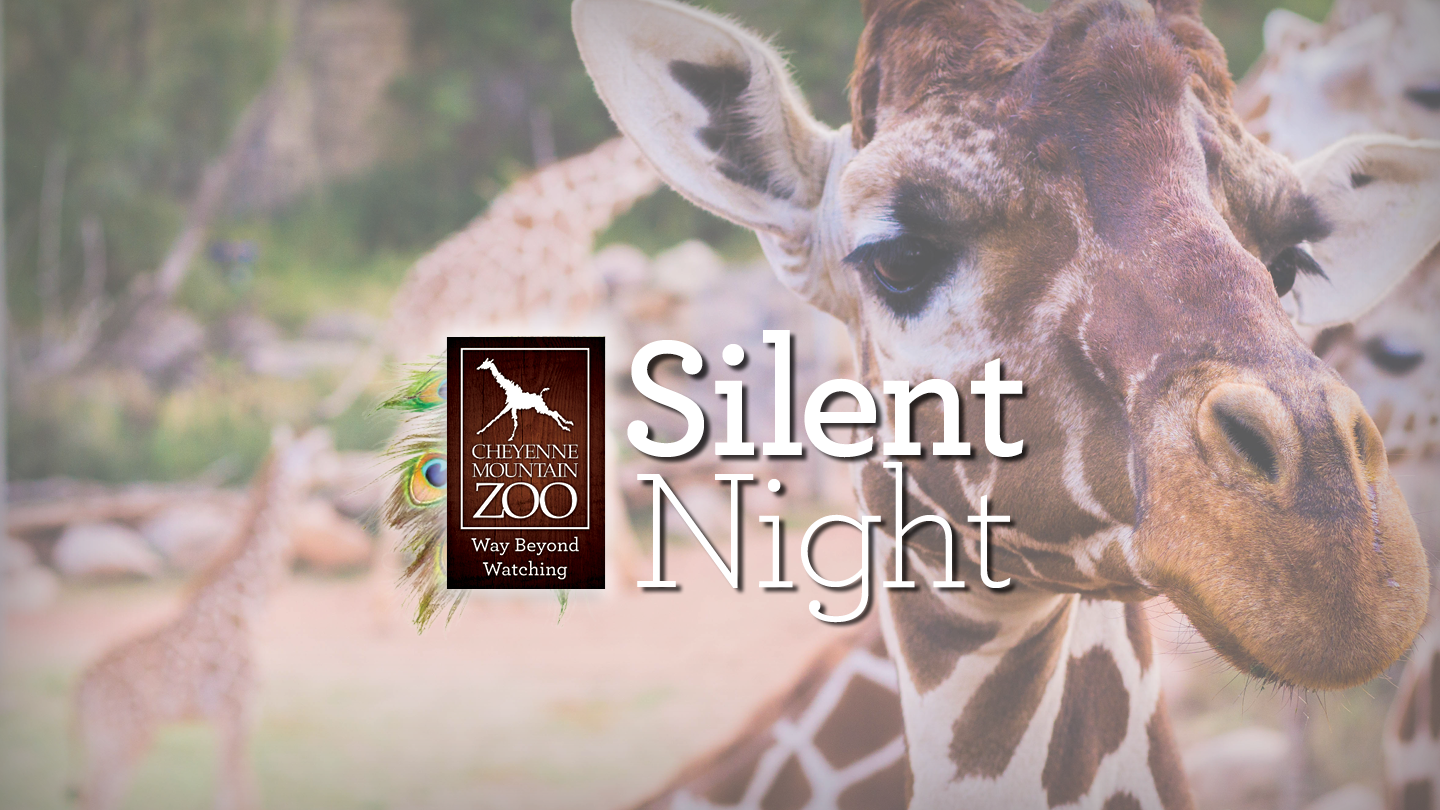 Silent Night at the Zoo