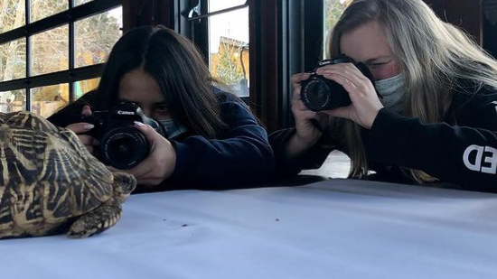 Teens photographing a tortoise