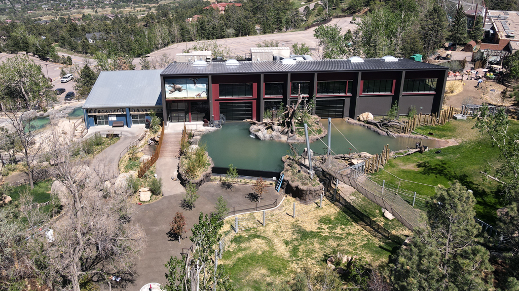 Cheyenne Mountain Zoo Staff Celebrates Hippo CMZoo