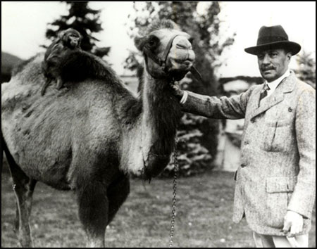 Archive photo - Spencer Penrose with camel