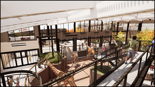 International Center for the Care and Conservation of Giraffe internal view rendering