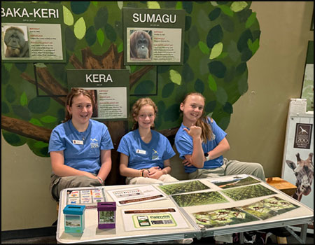 Teen Zoo Crew at education table with artifacts at Cheyenne Mountain Zoo