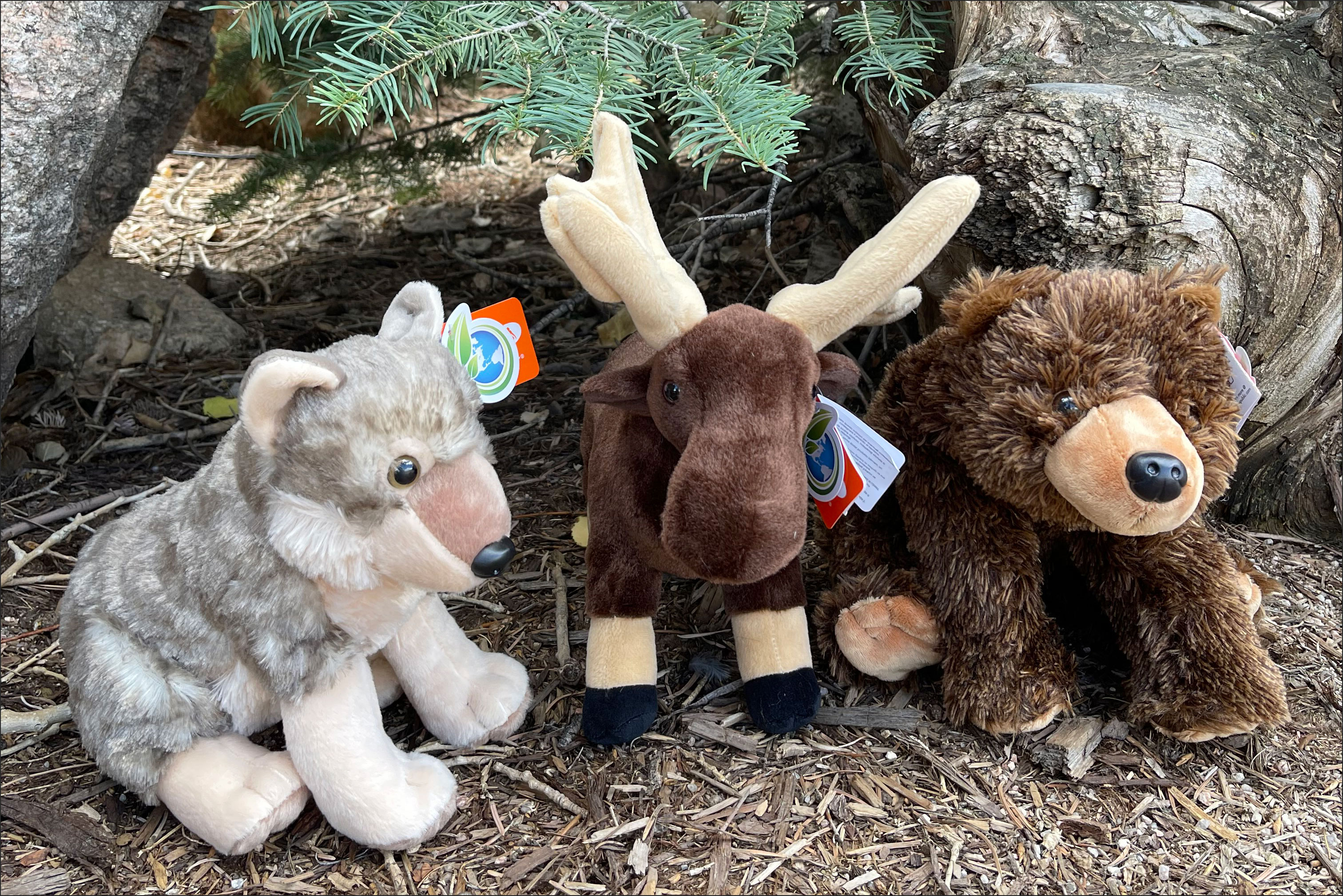 Adopt an Animal Wild Adoption Gift Packages make great holiday gifts and include a cuddly plush!